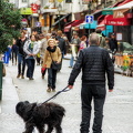 Parisians and their love of dogs